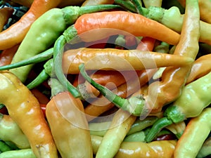 cayenne pepper that has been harvested from the garden