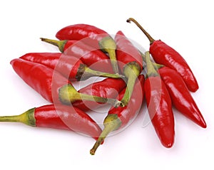 Cayenne pepper photo