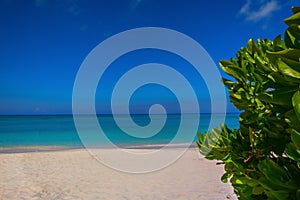 Cayman Islands-Simply Seven Mile Beach 2