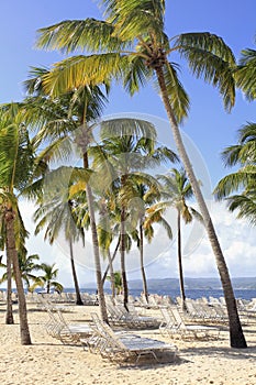 Cayo Levantado beach, Samana area