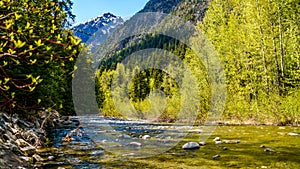 Cayoosh Creek as it flows between Duffey Lake and Seton Lake.