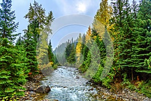 Cayoosh Creek, Duffey Lake Road, British Columbia, Sea to Sky Highway, Canada