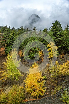 Cayoosh Point, Lillooet, British Columbia, Sea to Sky Highway, Canada