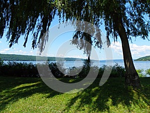 Cayuga Lake view from Willow Tree canopy in Stewart Park in Ithaca