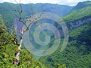 CaÃÂ±on del sumidero