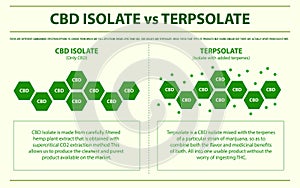CBD Isolate vs Terpsolate horizontal infographic photo