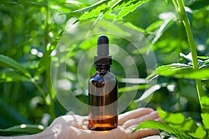 CBD Oil Extract with Fresh Medical Marijuana Plants