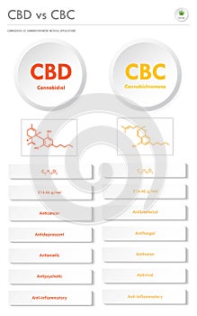 CBD vs CBC, Cannabidiol vs Cannabichromene vertical business infographic