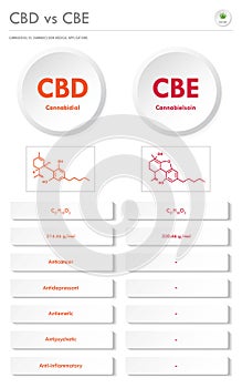CBD vs CBE, Cannabidiol vs Cannabielsoin vertical business infographic