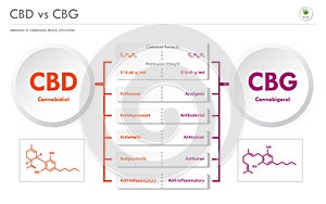 CBD vs CBG, Cannabidiol vs Cannabigerol horizontal business infographic