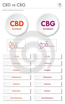 CBD vs CBG, Cannabidiol vs Cannabigerol vertical business infographic