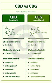 CBD vs CBG, Cannabidiol vs Cannabigerol vertical infographic photo