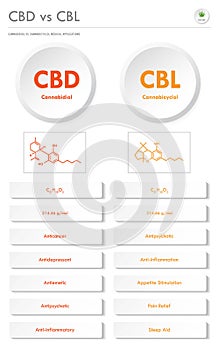 CBD vs CBL, Cannabidiol vs Cannabicyclol vertical business infographic