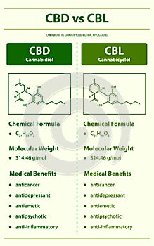 CBD vs CBL, Cannabidiol vs Cannabicyclol vertical infographic