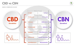 CBD vs CBN, Cannabidiol vs Cannabinol horizontal business infographic