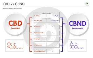 CBD vs CBND, Cannabidiol vs Cannabinodiol horizontal business infographic