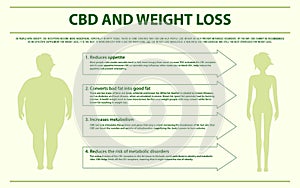 CBD and Weight Loss horizontal infographic photo