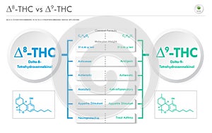 CBT vs âˆ†9-THC, Cannabitriol vs Delta 9 Tetrahydrocannabinol horizontal business infographic