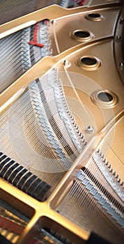 Cconert grand piano strings