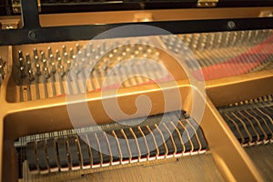 Cconert grand piano strings