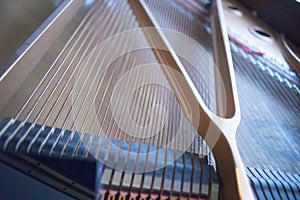 Cconert grand piano strings