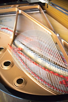 Cconert grand piano strings