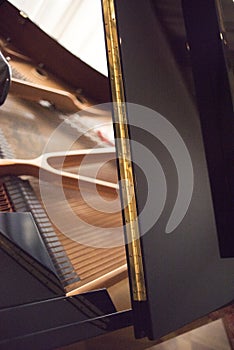 Cconert grand piano strings