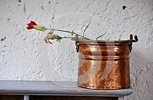Ccopper pot with two wilted carnations