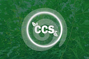 CCS acronym for Carbon Capture Storage words CCS in Circle with a Green leaves on nature background