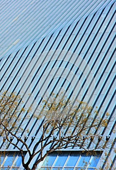 cctv building and trees