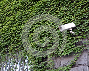 CCTV camera on city wall