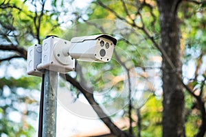 Cctv camera on the pole in the park
