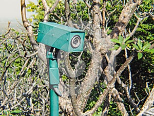CCTV camera security hidden in the bushes.