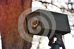 CCTV camera security hidden in the park.