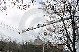 CCTV cameras mounted on iron pole. Traffic monitoring