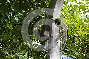 CCTV with leaves on background
