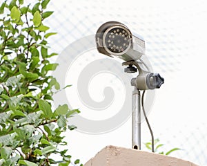 CCTV on location. Security camera on the wall  with sky and green plants background