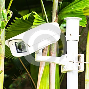 CCTV security camera in the garden