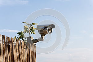 CCTV security camera on garden fence with blue sky in background