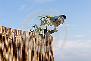 CCTV security camera on garden fence with blue sky in background