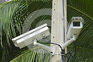 CCTV Security camera in park