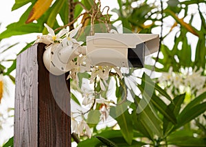 CCTV security camera for surveillance in green park