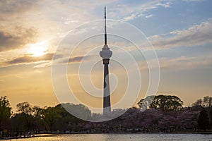 CCTV Tower in sunset