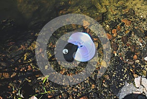 CD disk and floppy diskette are lying in the lake outdoors. Forgotten past concept in the water
