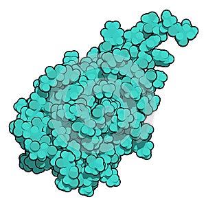CD47 (integrin associated protein, extracellular domain) protein. Often present on cancer cells and a potential antitumoral drug