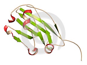 CD47 (integrin associated protein, extracellular domain) protein. Often present on cancer cells and a potential antitumoral drug