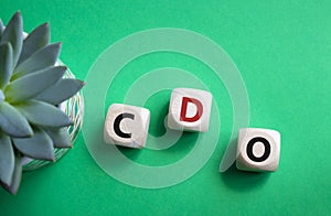 CDO - Collateralized Debt Obligation symbol. Wooden cubes with word CDO. Beautiful green background with succulent plant. Business photo