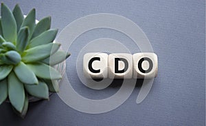 CDO - Collateralized Debt Obligation symbol. Wooden cubes with word CDO. Beautiful grey background with succulent plant. Business photo