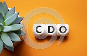 CDO - Collateralized Debt Obligation symbol. Wooden cubes with word CDO. Beautiful orange background with succulent plant. photo