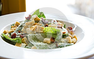 Ceasar Salad
